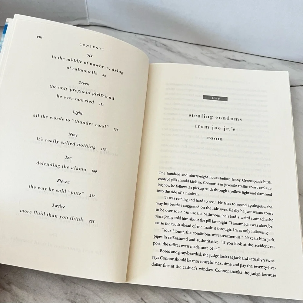 Family and Other Accidents: A Novel Hardcover Shari Goldhagen